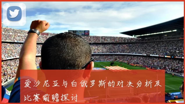 爱沙尼亚与白俄罗斯的对决分析及比赛前瞻探讨